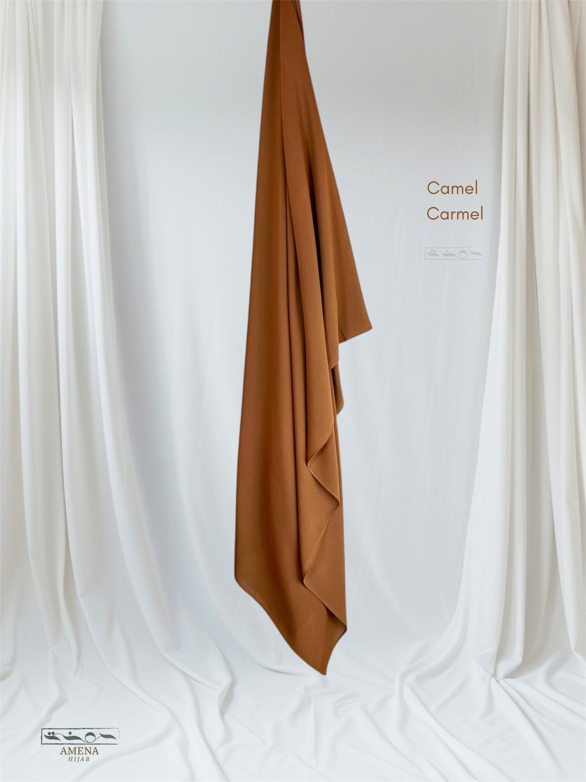 Camel Carmel